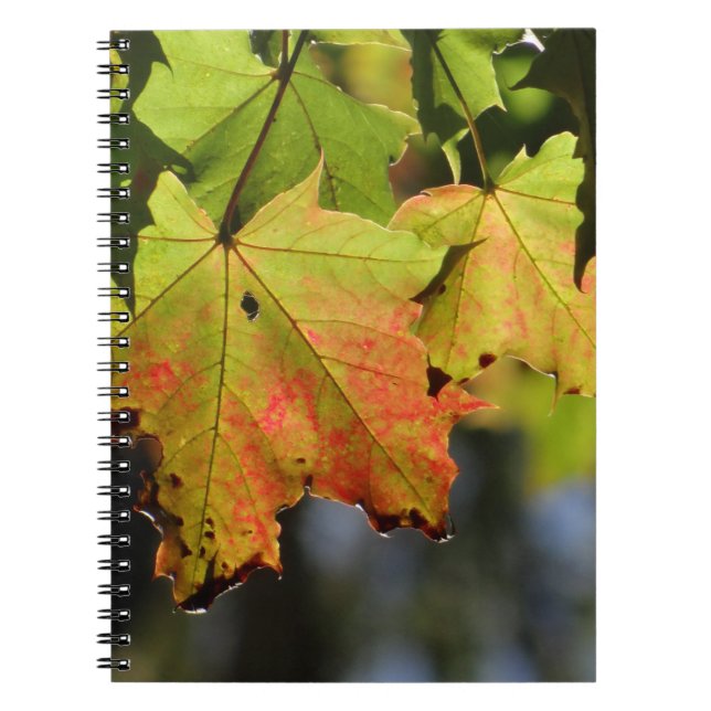 Farbige Herbstlaube Notizblock (Vorderseite)