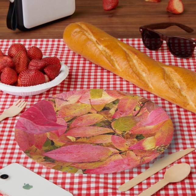 Farbige Herbstlaube Pappteller (Picknick)