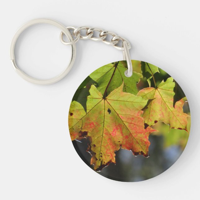 Farbige Herbstlaube Schlüsselanhänger (Vorderseite)