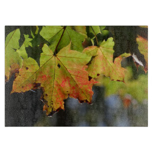 Farbige Herbstlaube Schneidebrett