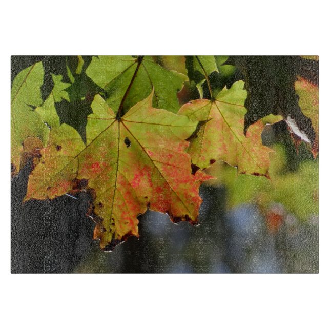 Farbige Herbstlaube Schneidebrett (Vorderseite)