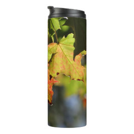 Farbige Herbstlaube Thermosbecher
