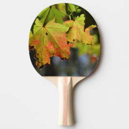 Farbige Herbstlaube Tischtennis Schläger