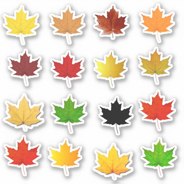 Farbige Herbstmapselleaf wasserdichte Labels (Vorderseite)