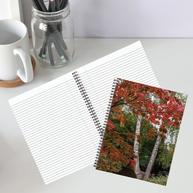 Farbige Herbstverlässe Foto Notizbuch (In Situ)