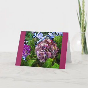 Farbige Hydrangea-Blume Karte