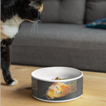 Farbige Karpfen Foto Muster Pet