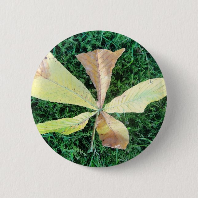 Farbige Kastanienblätter Button (Vorderseite)