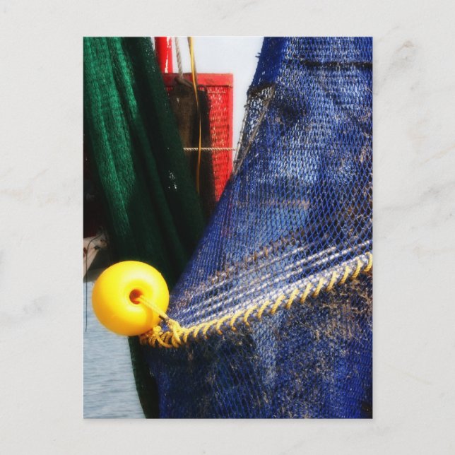 Farbige Krabbennetze und Schwimmbäder, Florida Postkarte (Vorderseite)