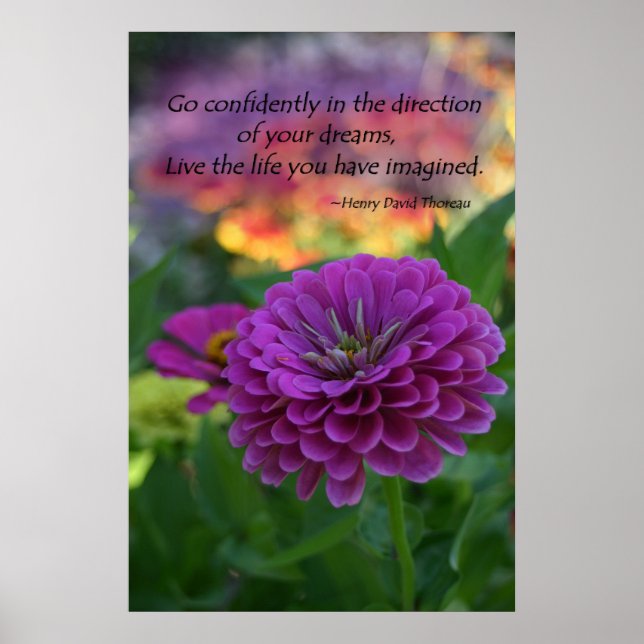 Farbige Lila Zinnia-Blume inspirierend Zitat Poster (Vorne)