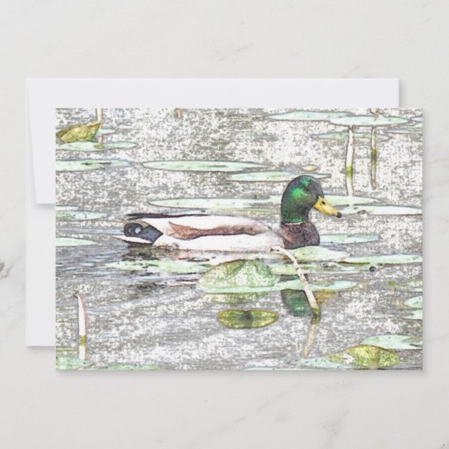 Farbige Mallard Ente Art Pension Einladung (Vorderseite)