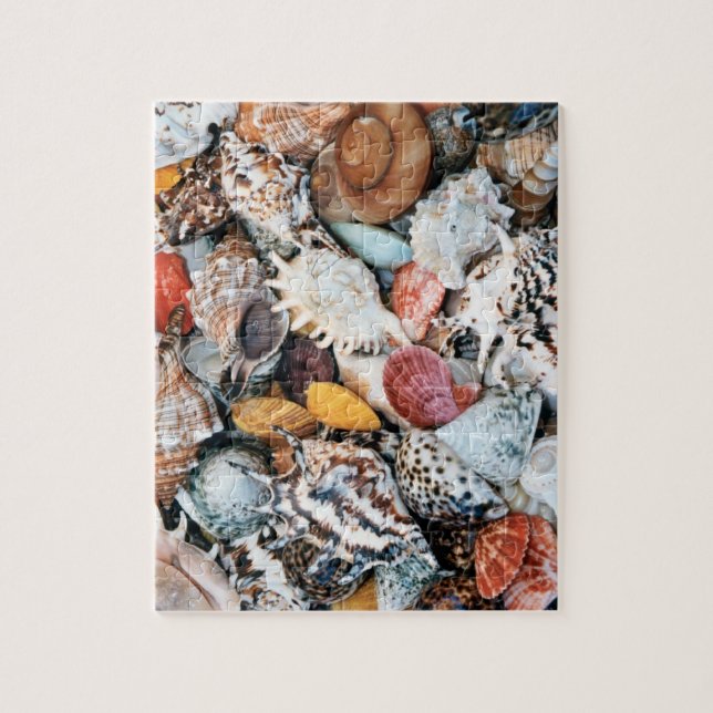 Farbige Muscheln (Vertikal)