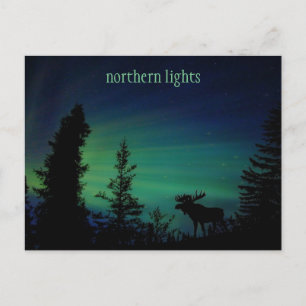Farbige Northern Lights Sky Postcard Postkarte