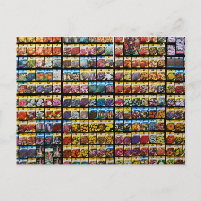 Farbige Packung Saatgut Postkarte (Vorderseite)