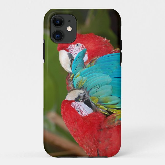 Farbige Papagei-Abdeckung Case-Mate iPhone Hülle (Rückseite)