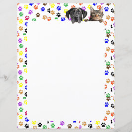Farbige Paw-Prints mit Hund und Katze 8,5 x 11