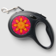 Farbige Pet-Leash