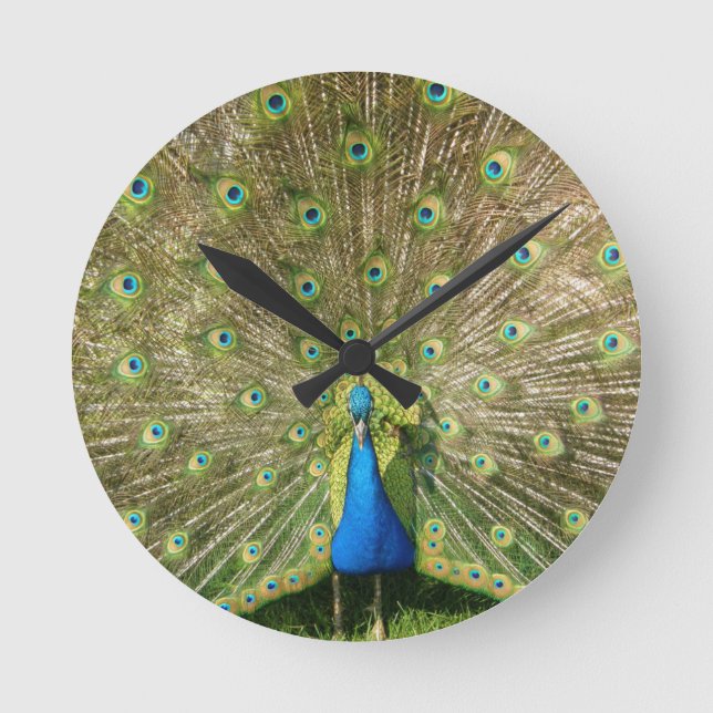 Farbige Pfauenhalle Runde Wanduhr (Vorderseite)