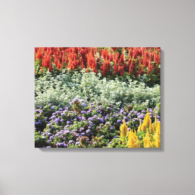 Farbige Pflanze Foto Wrapped Canvas Print Leinwanddruck (Vorderseite)