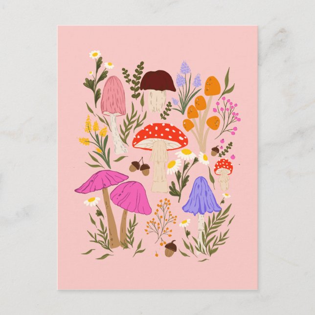 Farbige Pilze und Wildblumen Postkarte (Vorderseite)