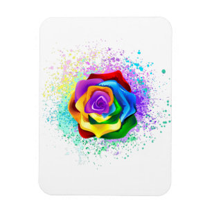 Farbige Regenbogenrose Magnet