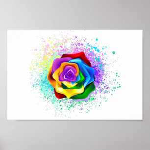 Farbige Regenbogenrose Poster
