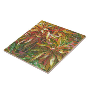 "FARBIGE RIBBONÄHNLICHE BLÄTTER" KERAMIK TILE/TRIV FLIESE
