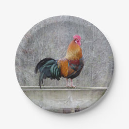 Farbige Roosterpapier-Teller Pappteller