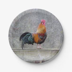 Farbige Roosterpapier-Teller Pappteller
