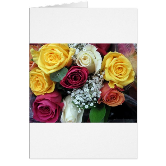 Farbige Rose (Vorne)