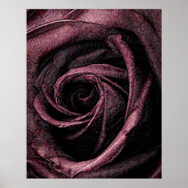 Farbige Rose Poster