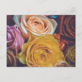Farbige Rose Postkarte