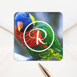 Farbige Rot-Blau-Lorikeet-Vogelmonogramm Quadratischer Aufkleber
