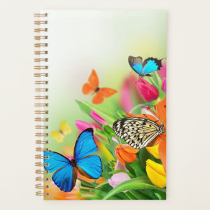 Farbige Schmetterlinge, kleiner Planner Planer