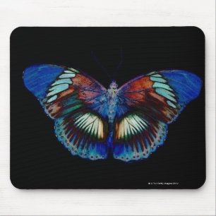 Farbige Schmetterlingsgestaltung vor schwarzem Hin Mousepad
