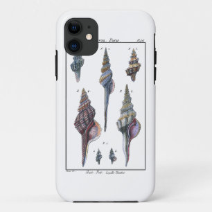 Farbige Sieben Meeresmuscheln iPhone 11 Hülle