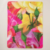 Farbige Sommerrosen