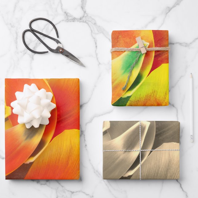 Farbige Sorte Tulip Petal Foto Jeden Anlaß Geschenkpapier Set (Vorderseite)