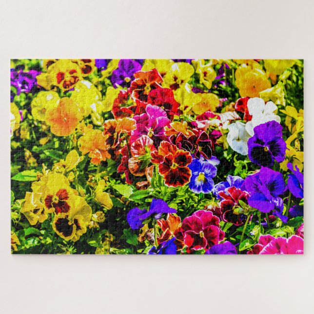 Farbige Stiefmütterchen-Blumen (Horizontal)