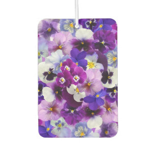 Farbige Stiefmütterchen, Hübsche Blume, Autolufterfrischer
