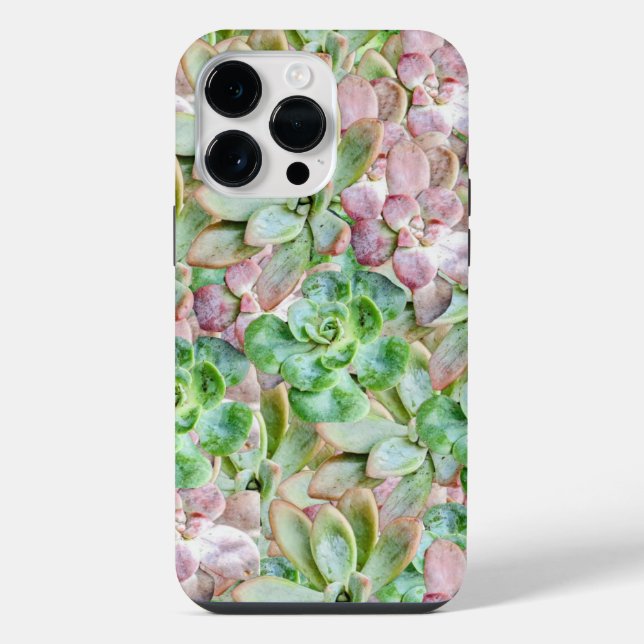 Farbige Sukkulente      iPhone 14 Pro Max Hülle (Rückseite)