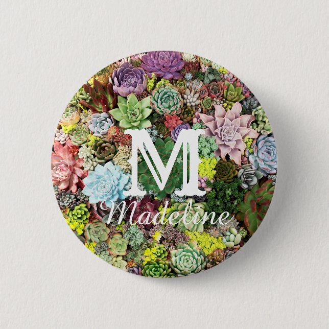 Farbige Sukkuline Button (Vorderseite)