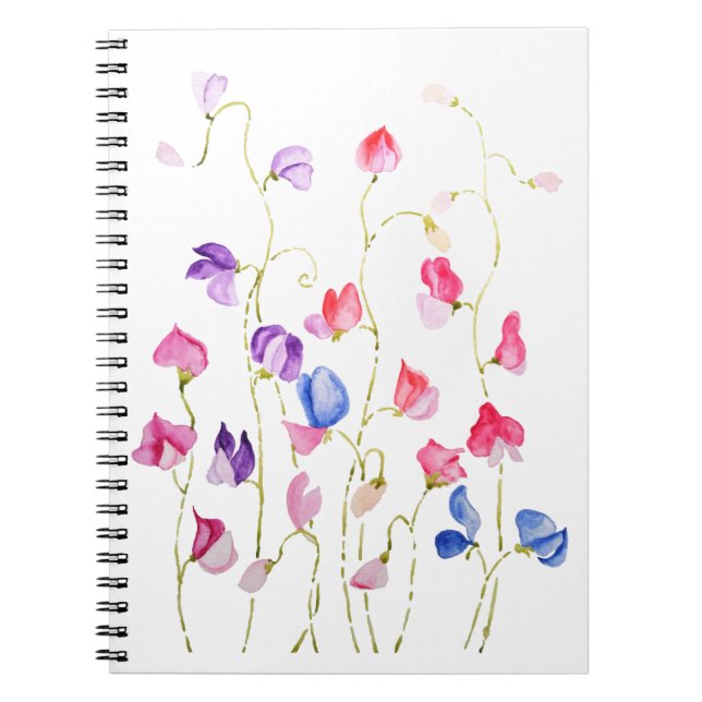 farbige Süßerbsen Blume Aquarell Notizblock (Vorderseite)