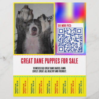 Farbige Träne von Welpenverkäufen Flyer