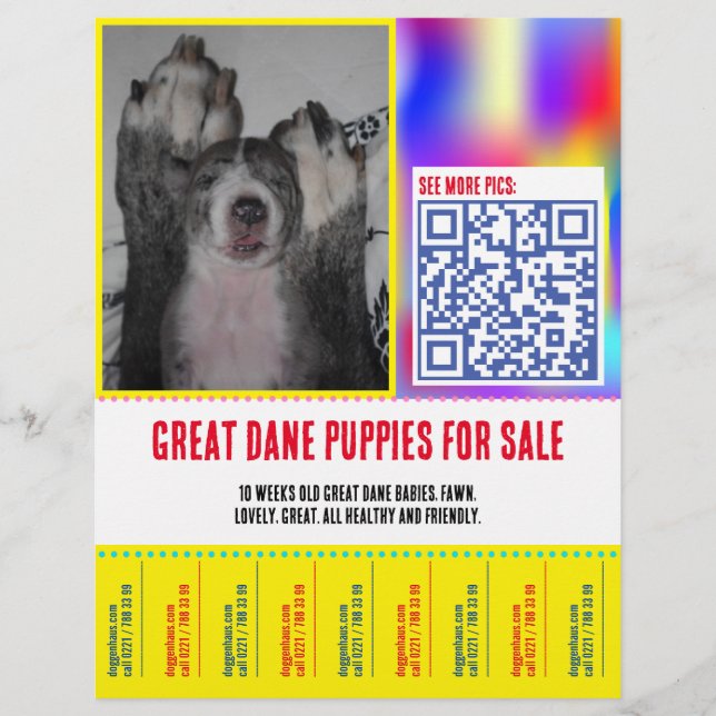 Farbige Träne von Welpenverkäufen Flyer (Vorne)