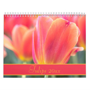 Farbige Tulips-Fotografie Kalender