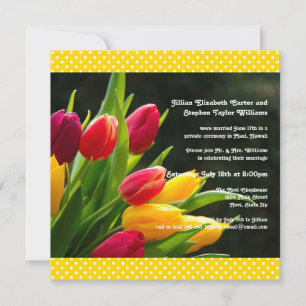 Farbige Tulpen Foto - 5x5 Hochzeitsankündigung Einladung