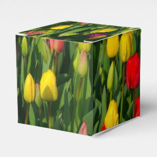 Farbige Tulpen Geschenkschachtel