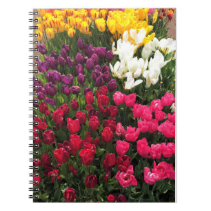 Farbige Tulpenbeet, Oregon Notizblock
