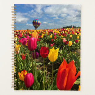 Farbige Tulpenfelder mit Ballon Planer
